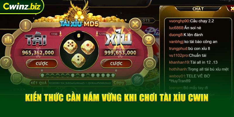 Kiến thức cần nắm vững khi chơi tài xỉu Cwin